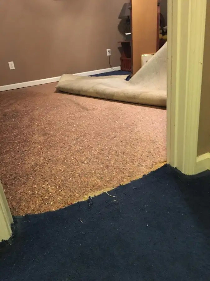 Carpet pad removal revealing water damage during Drying & Dehumidification in Bedford Heights